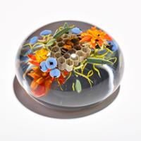 Paul J. Stankard Botanical Paperweight - Sold for $3,072 on 05-18-2024 (Lot 344).jpg